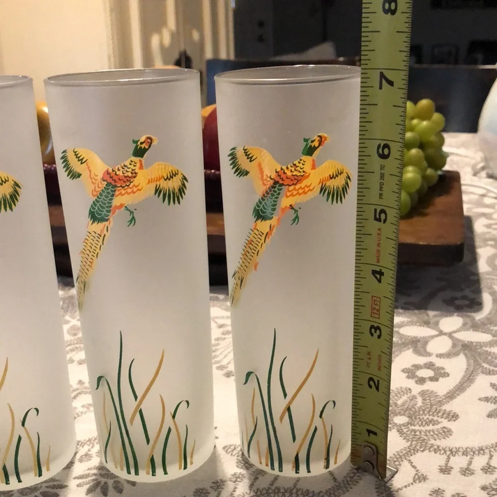 Vintage frosted flying wild birds highball glasses - Picture 2 of 4